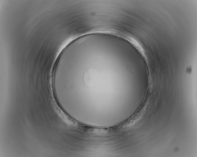 X0000091590907200709101038