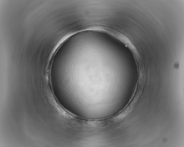 X0000091590908200709101038