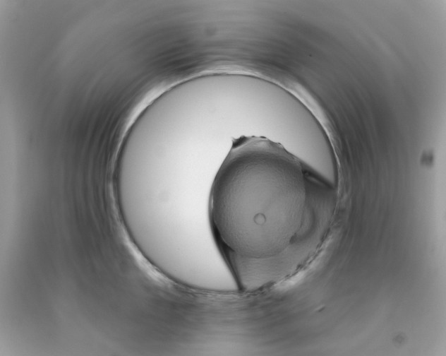 X0000091590909200709101038