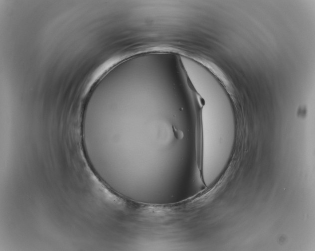 X0000091590910200709101038