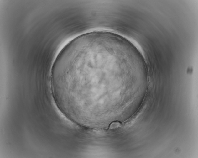 X0000091590911200709101038