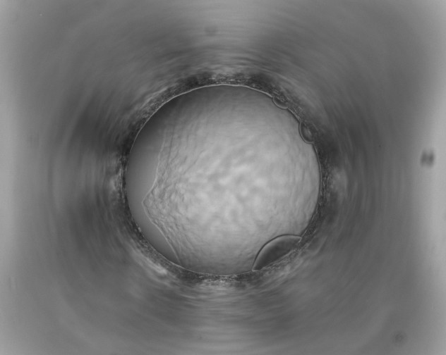 X0000091590914200709101037