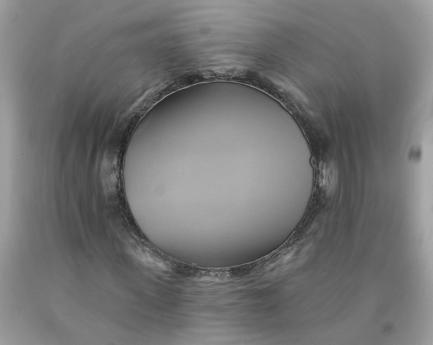 X0000091590915200709101037