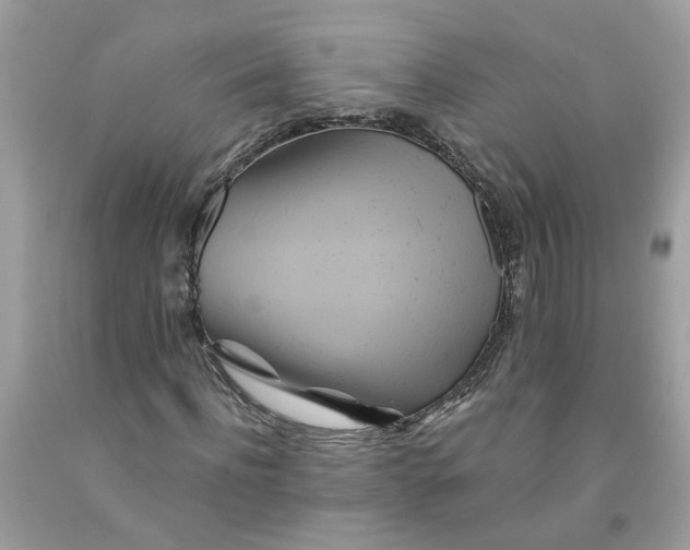 X0000091590916200709101037