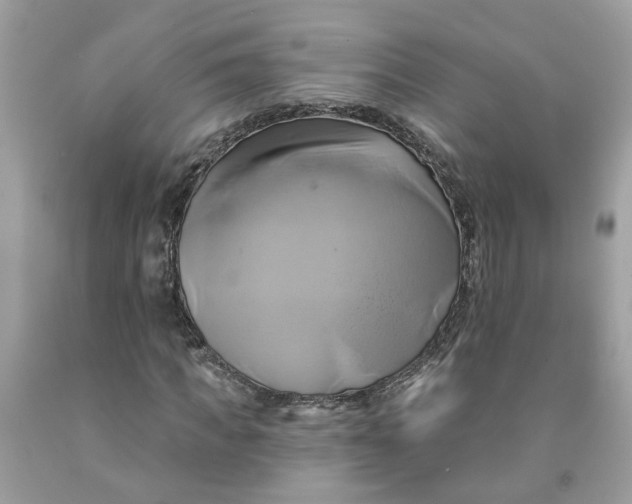 X0000091590917200709101037