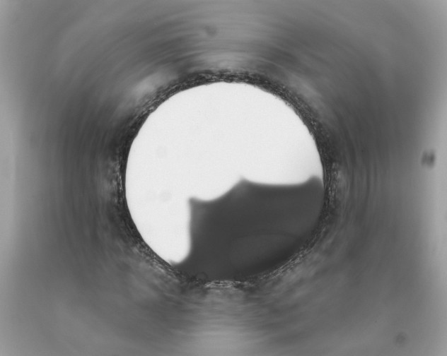 X0000091590918200709101037