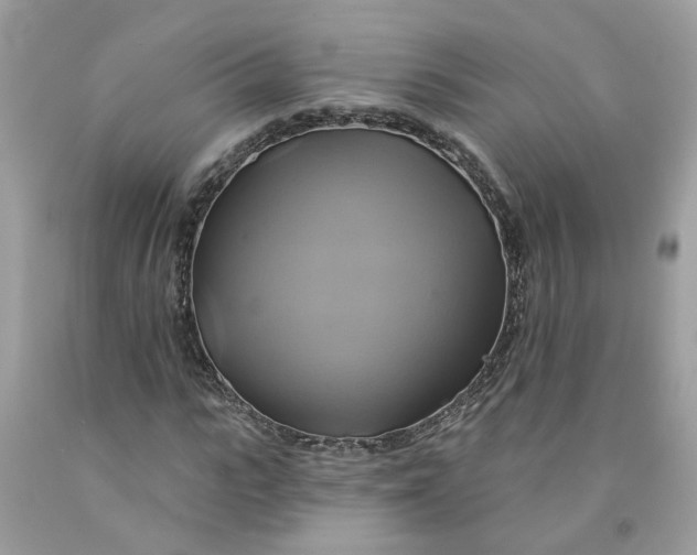 X0000091590919200709101037