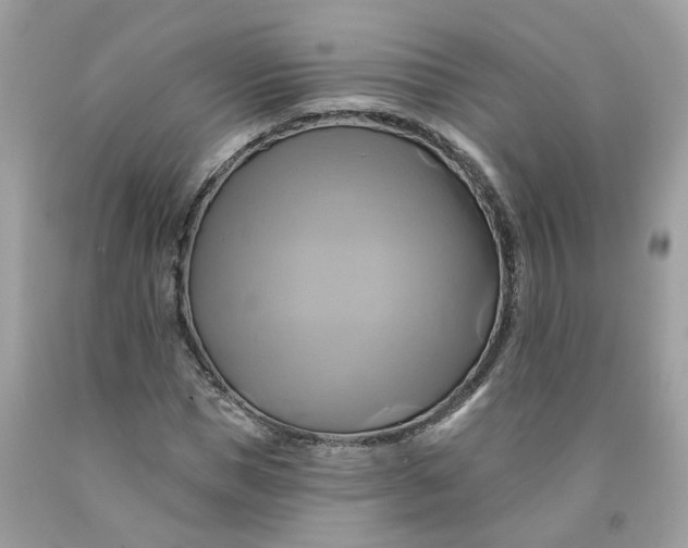 X0000091590921200709101037