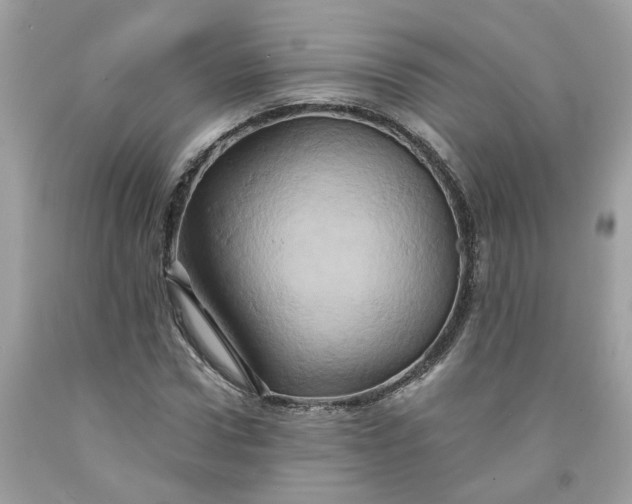 X0000091590922200709101037