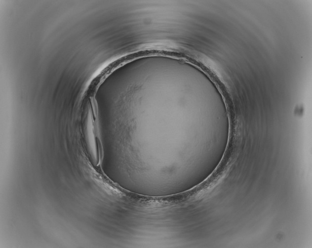 X0000091590923200709101037