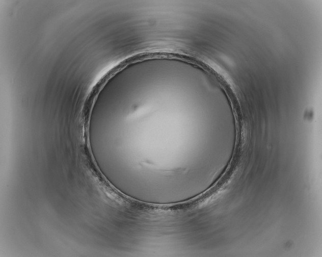 X0000091590925200709101037