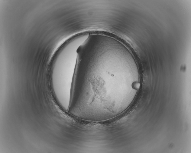 X0000091590926200709101037