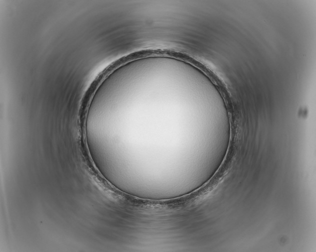 X0000091590927200709101037