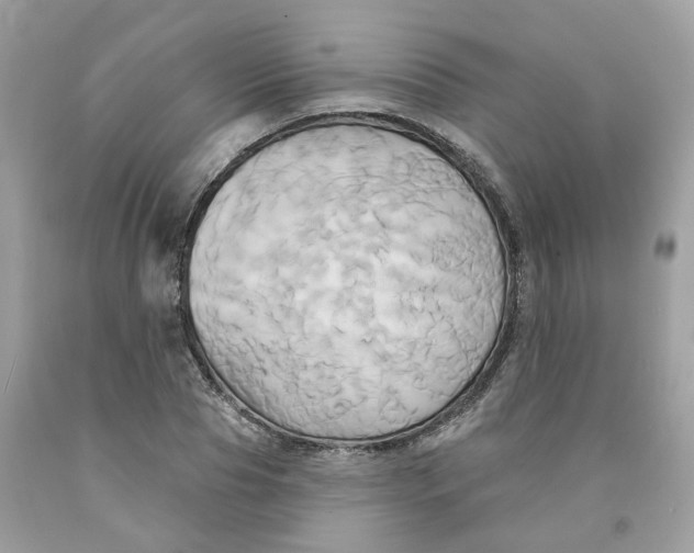 X0000091590929200709101037