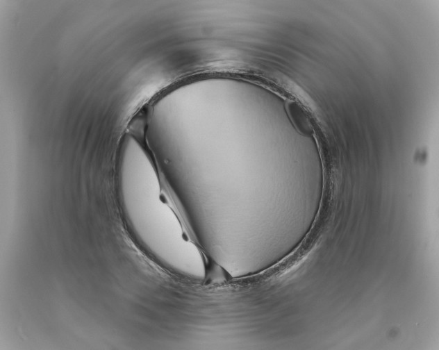 X0000091590930200709101037