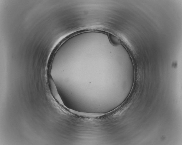 X0000091590932200709101037