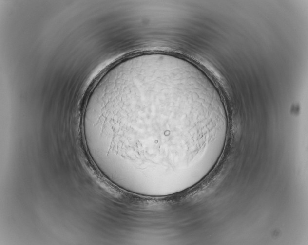 X0000091590933200709101037