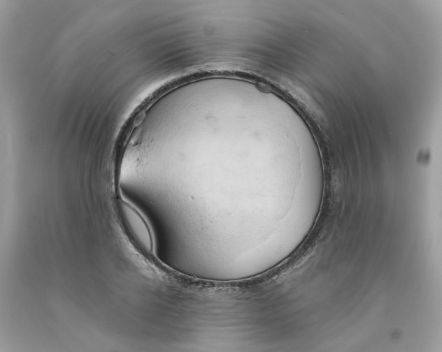 X0000091590934200709101037