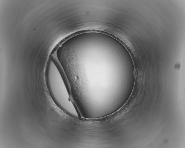 X0000091590936200709101037