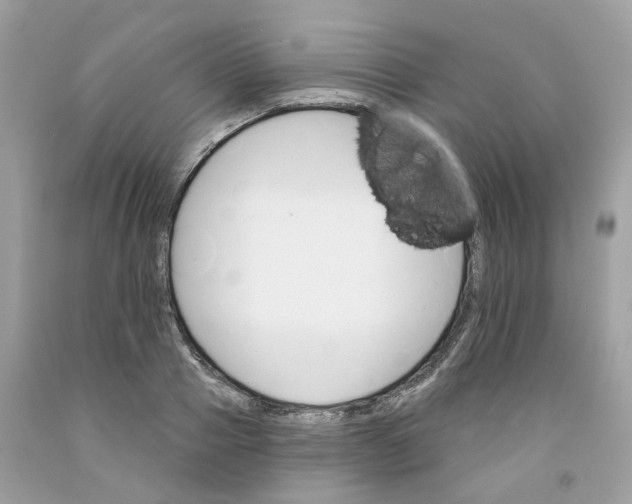 X0000091590937200709101037