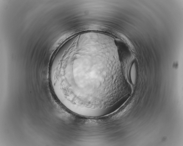 X0000091590938200709101037