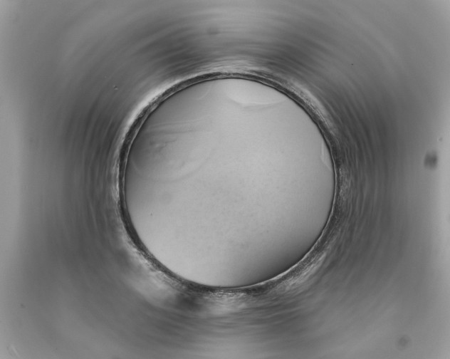 X0000091590939200709101037