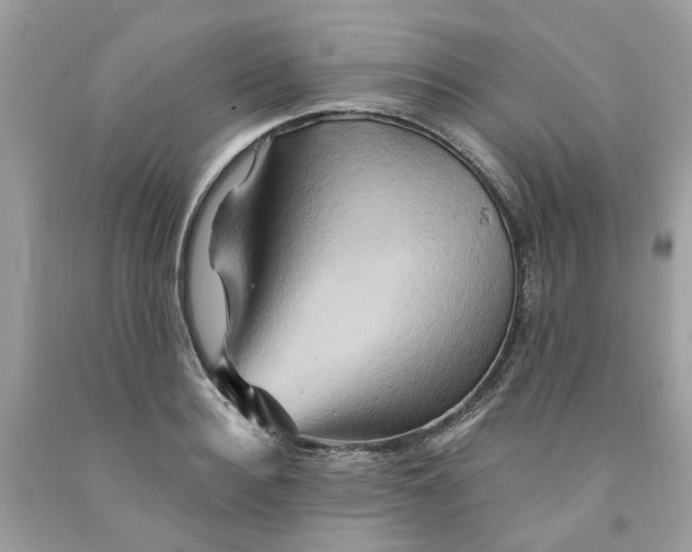 X0000091590940200709101037