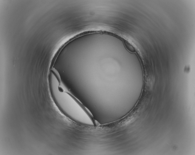 X0000091590943200709101037