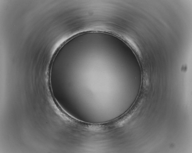 X0000091590944200709101037