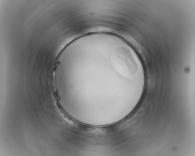 X0000091590945200709101037