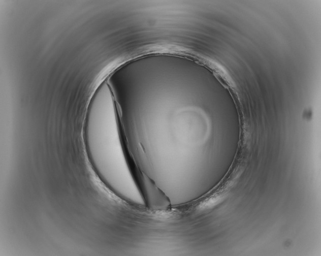 X0000091590946200709101037