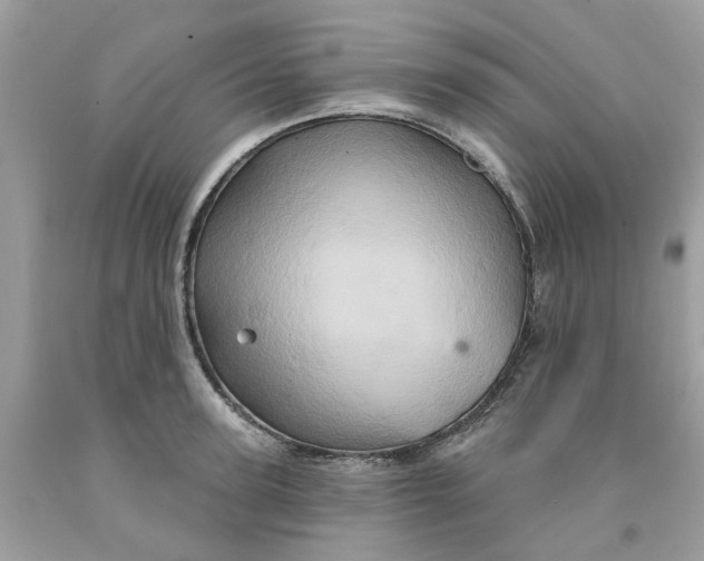 X0000091590947200709101037