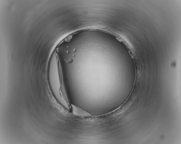 X0000091590948200709101037