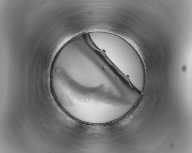 X0000091590949200709101037