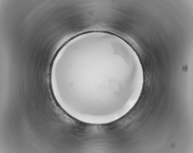 X0000091590950200709101037