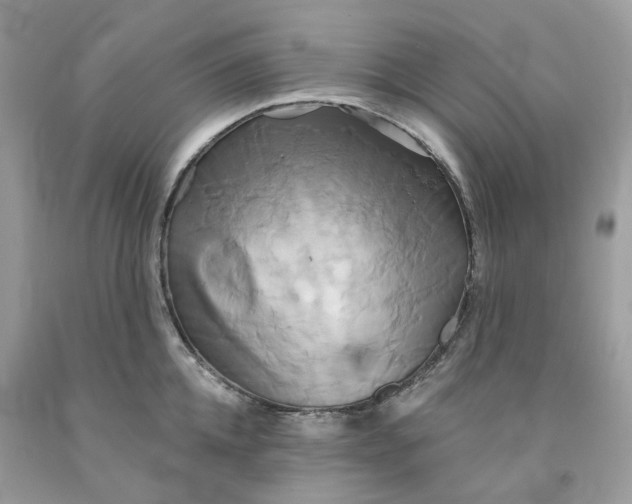 X0000091590952200709101037