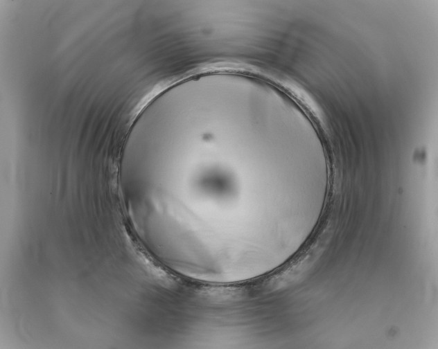 X0000091590953200709101037