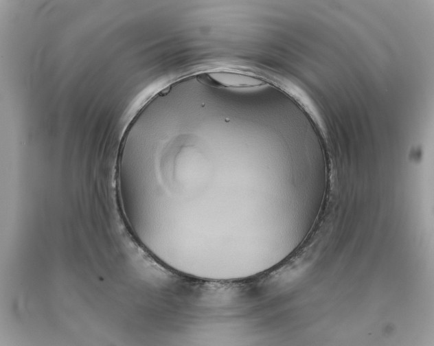 X0000091590954200709101037