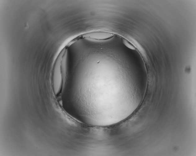 X0000091590956200709101037