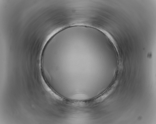 X0000091590957200709101037