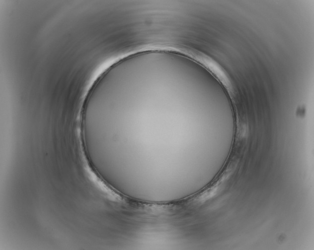 X0000091590958200709101037