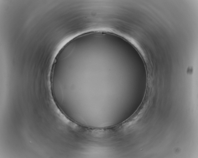 X0000091590959200709101037