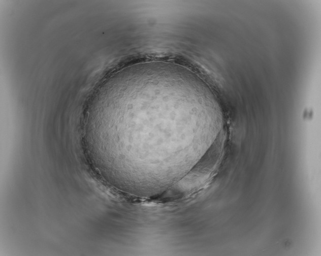 X0000091590961200709101037