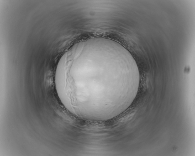 X0000091590962200709101037