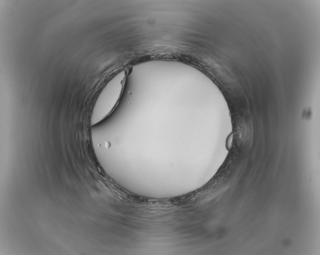 X0000091590964200709101037