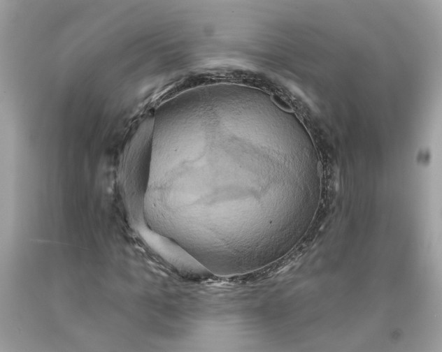 X0000091590965200709101037