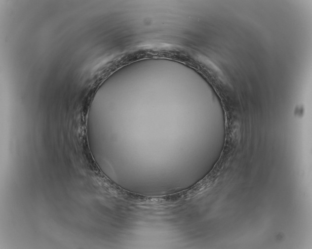 X0000091590966200709101037