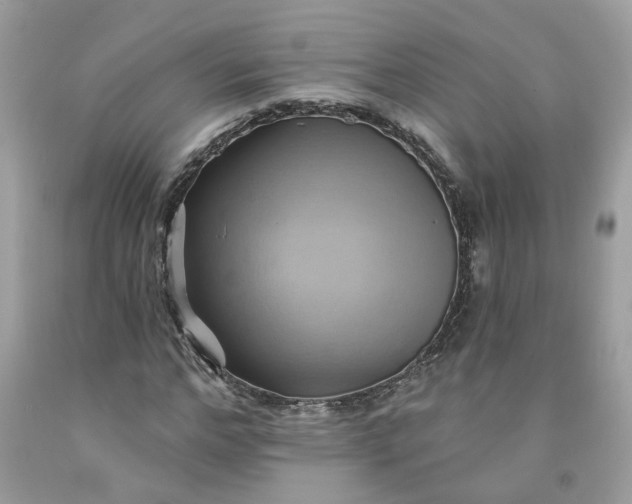 X0000091590968200709101037