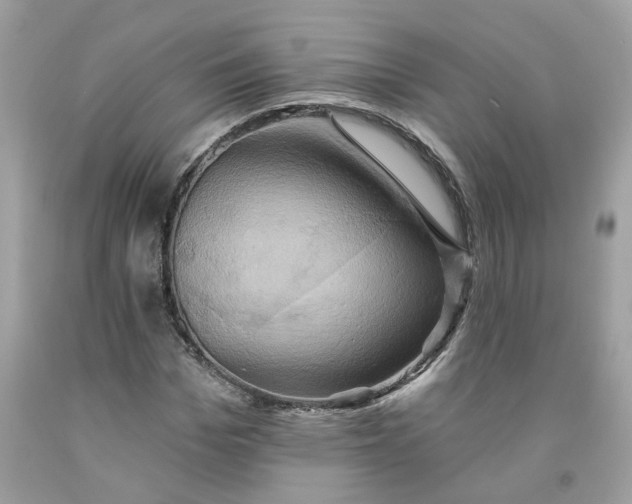 X0000091590969200709101037