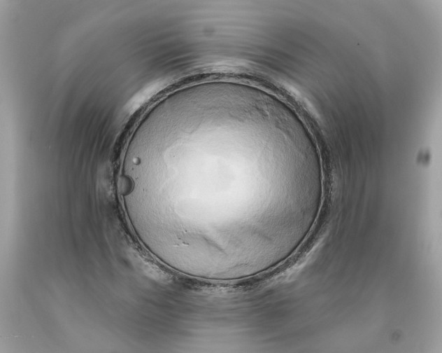 X0000091590970200709101037